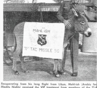 Looking for Info – 71st TMS Mascot (MAHL-ISH)